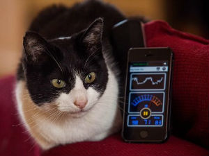 Преде за Гиниса!