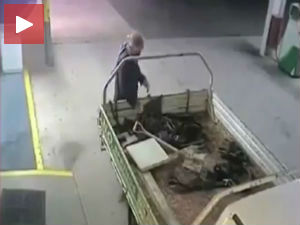 Лопов-приправник