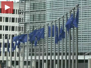 "Пријатељи Србије" у Бриселу