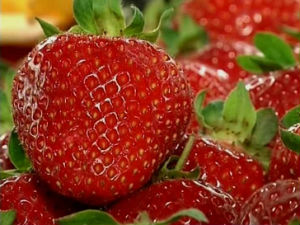 Град уништио засаде јагода 