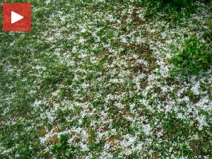 Град опустошио ивањичка и нововарошка села