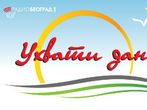 Ухвати дан
