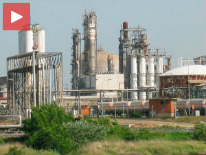 Дуг пут до власника, 17 предузећа на "вештачком дисању"