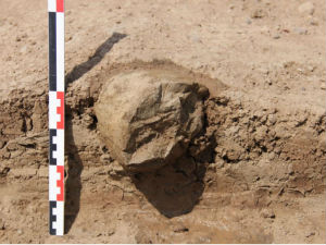 Историја оруђа враћена 700.000 година уназад!