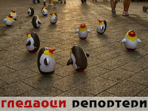 Гледаоци репортери (22. мај 2015)