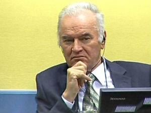 Симић: ВРС није терорисала становништво Сарајева