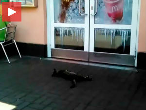 Само ви пролазите, ја спавам