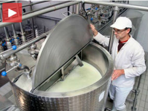 Заштитна такса или откуп вишка млека