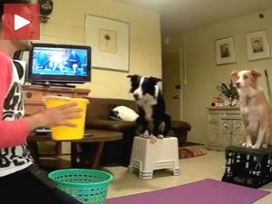 Друг за баскет