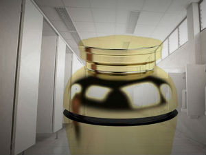 Пепео омражене супруге просуо у тоалет