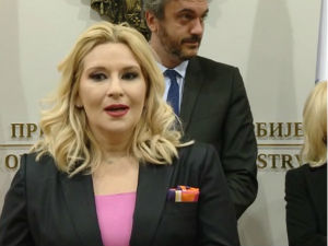 Михајловићeва: Време је за развијање српско-албанских односа