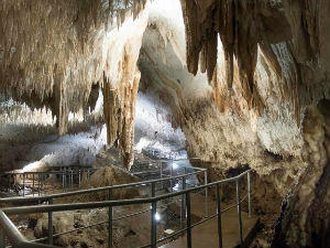 Благо мајданпечког Робина Худа