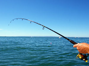 Добро јутро децо