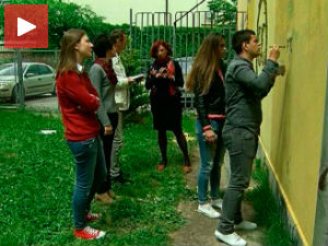 Маховина на зиду школе, хит нишких ученика