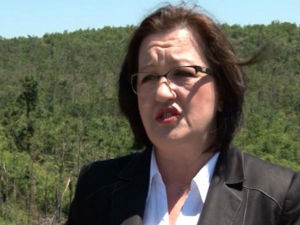 Богосављевић Бошковић: Штета на шумама око 500 милиона динара