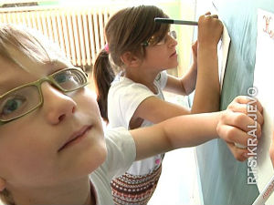 Више светлости за Ружицу и Живка