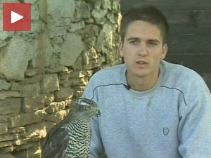 Љупке грабљивице