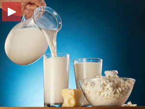 Уведене таксе за увоз млека и млечних производа