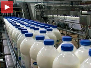 Српски и европски "млечни пут"