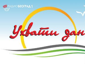 Ухвати дан