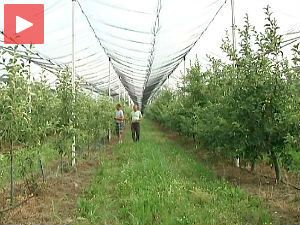 Повољни кредити, олакшање за ратаре 