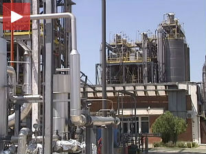 "Петрохемија", без опуштања и отпуштања