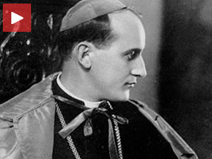 Канонизација Степинца, шта кажу историчари