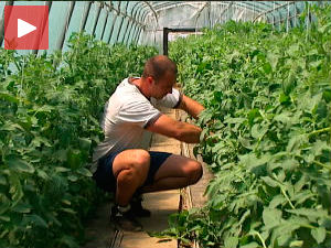 Економија иза затворских решетака