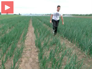 Са колико пара европски фонд помаже српски аграр