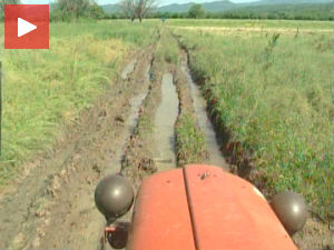 Фекалије са фарме угрожавају околне њиве