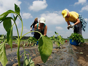 Права сезонских радника заштићена законом