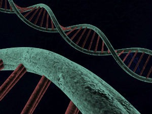 Биоетика и генетичке информације