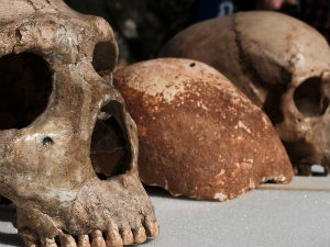 Романтични сусрети неандерталаца и древних људи 