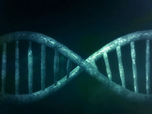 Коме припада мој геном?