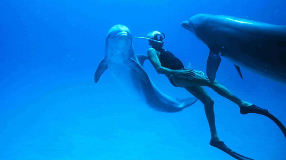 „Човек делфин“ отвара Међународни фестивал подводног филма
