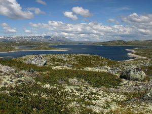 Норвешка – вода у свим облицима