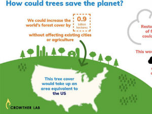Drveće može spasti planetu, tvrde naučnici