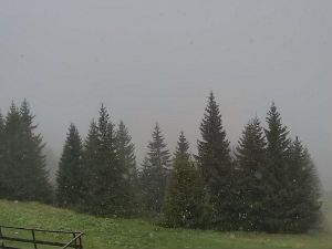 Снег у мају – забелели се Копаоник и Брезовица