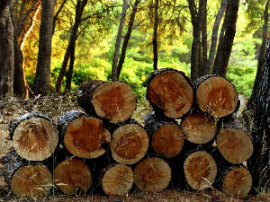 Цепање дрва као антистрес терапија