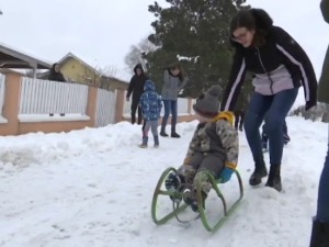 Једна улица, две породице, четрнаесторо деце