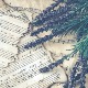 Ивана Тришић: Оно мало чега се сећам