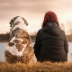 Миодраг Богић: О нежности и свирепости