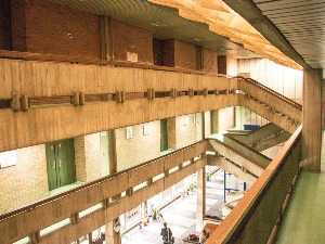 ФДУ: Безрезервно и одлучно подржавамо Милену Радуловић