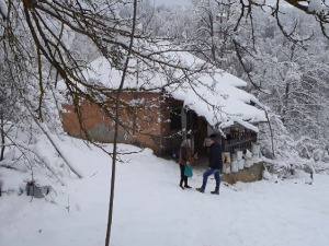 Петнаест књажевачких села због леденог времена без струје и проходних путева