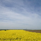 	Фолдер Србија: Стара писма
