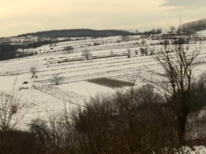 Савет ратарима и воћарима – како сачувати биљке од променљивих временских прилика