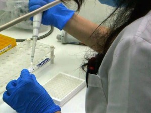 Медицински факултет у Београду: Изоловали смо британски сој коронавируса Медицински факултет у Београду: Изоловали смо британски сој коронавируса