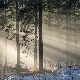 Зима уз облаке, и наредних дана хладно време