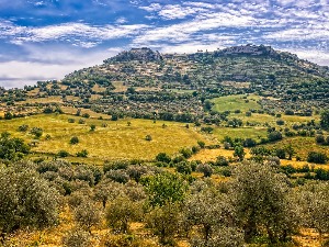 Шеф Коза ностре хранио сиромашне током првог закључавања Италије