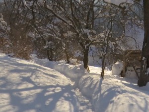 Мећава оставила Црну Траву без струје и телефонских веза, проглашена ванредна ситуација